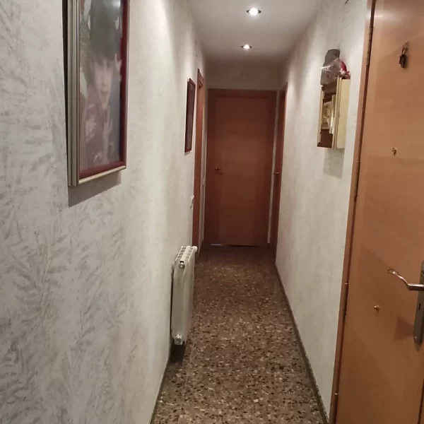 empapelado-papel-pintado-pintro-terrassa00005